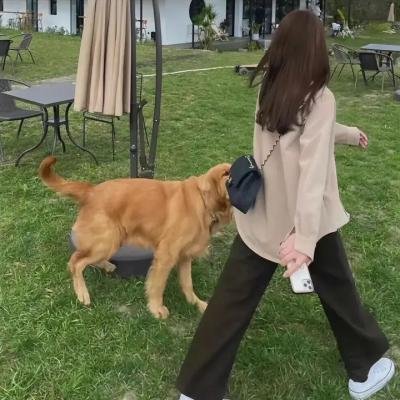 嘿！你大事很妙